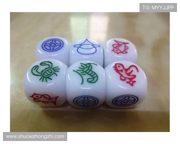 深入了解骰宝的历史发展与文化背景丰富你的游戏知识