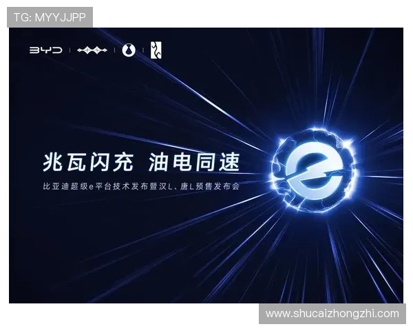 稳定可靠的k8凯发网址登录入口,全天候在线支持多设备畅玩无障碍 稳定可靠的k8凯发网址登录入口,全天候在线支持多设备畅玩无障碍