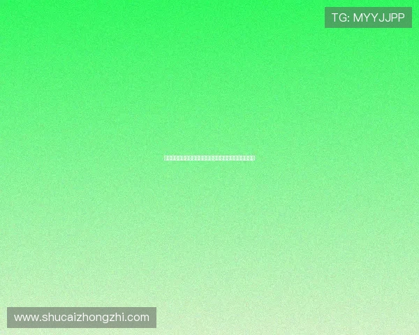 轮盘的设计与制造工艺：从工艺美术到现代机械技术的演变