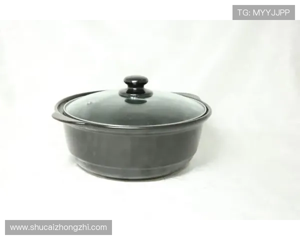 凯发娱乐最新网址登录指南，详细步骤帮助新手快速顺利进入平台