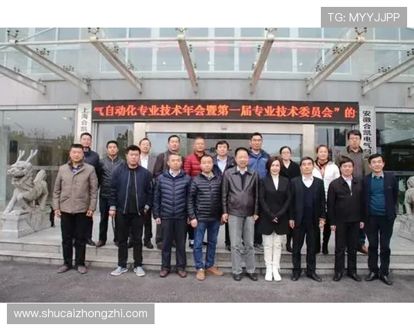 凯发电气最新消息新闻：行业专家解读公司最新技术创新成果