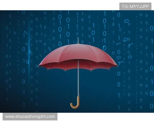 k8官方网站首页安全登录指南确保账号信息安全与个人隐私保护 k8官方网站首页安全登录指南确保账号信息安全与个人隐私保护