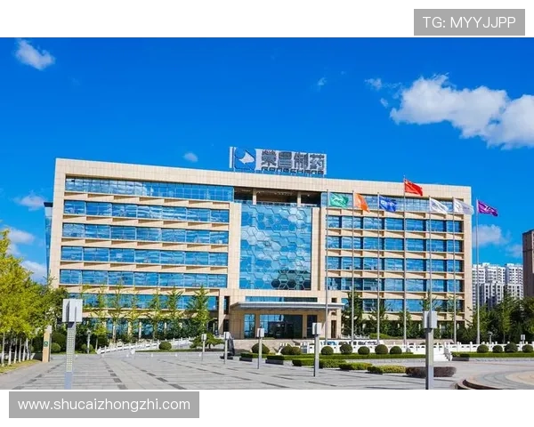 K8凯发网娱乐的客户服务体系详解为玩家提供全天候专业支持与帮助 K8凯发网娱乐的客户服务体系详解为玩家提供全天候专业支持与帮助